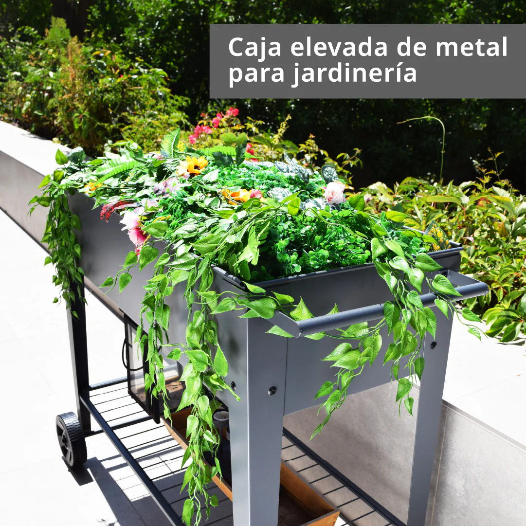 Imagen del producto 2