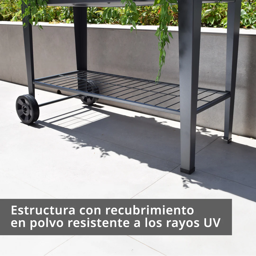 Imagen del producto 3